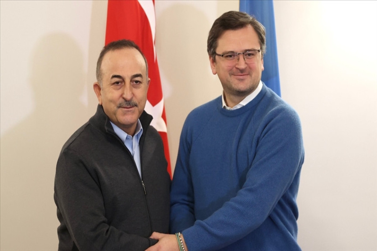 министры иностранных дел Украины и Турции Дмитрий Кулеба и Мевлют Чавушоглу