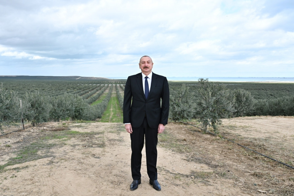 Prezident Zirədə zeytun yağı və zeytun məhsullarının emalı zavodunun açılışında iştirak edib - FOTO 