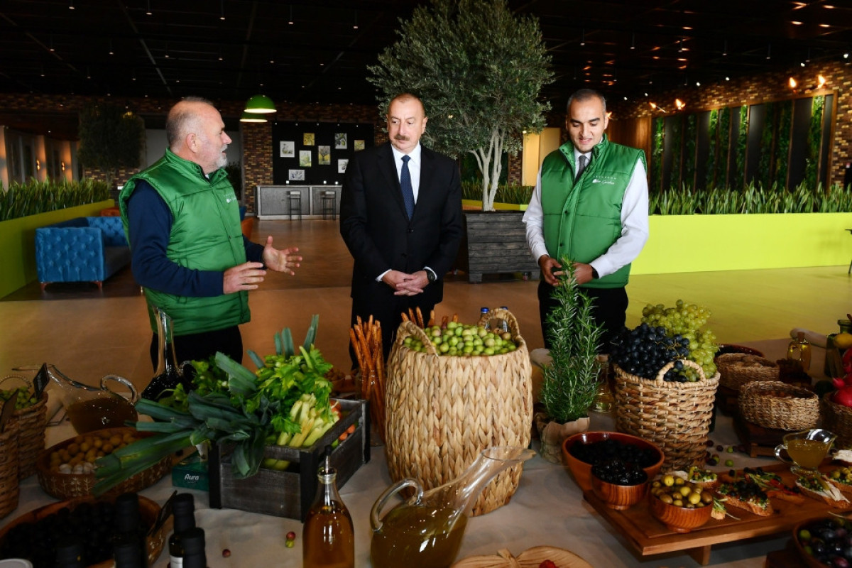 Prezident Zirədə zeytun yağı və zeytun məhsullarının emalı zavodunun açılışında iştirak edib - FOTO  - YENİLƏNİB 
