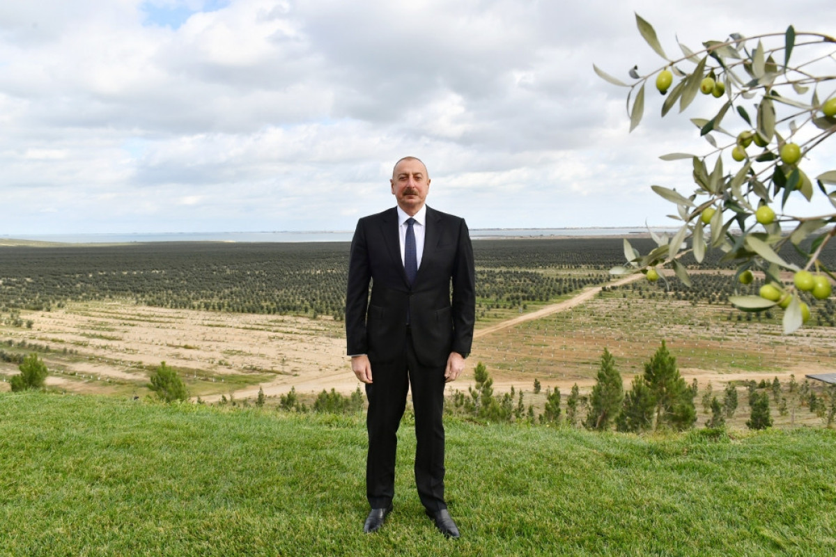 President Ilham Aliyev attended opening of olive oil and table olive products processing plant in Zira settlement-UPDATED 