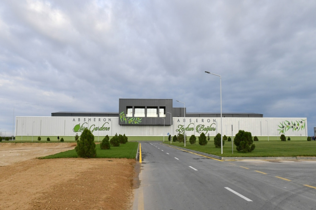 Завод по производству оливкового масла в Зиря