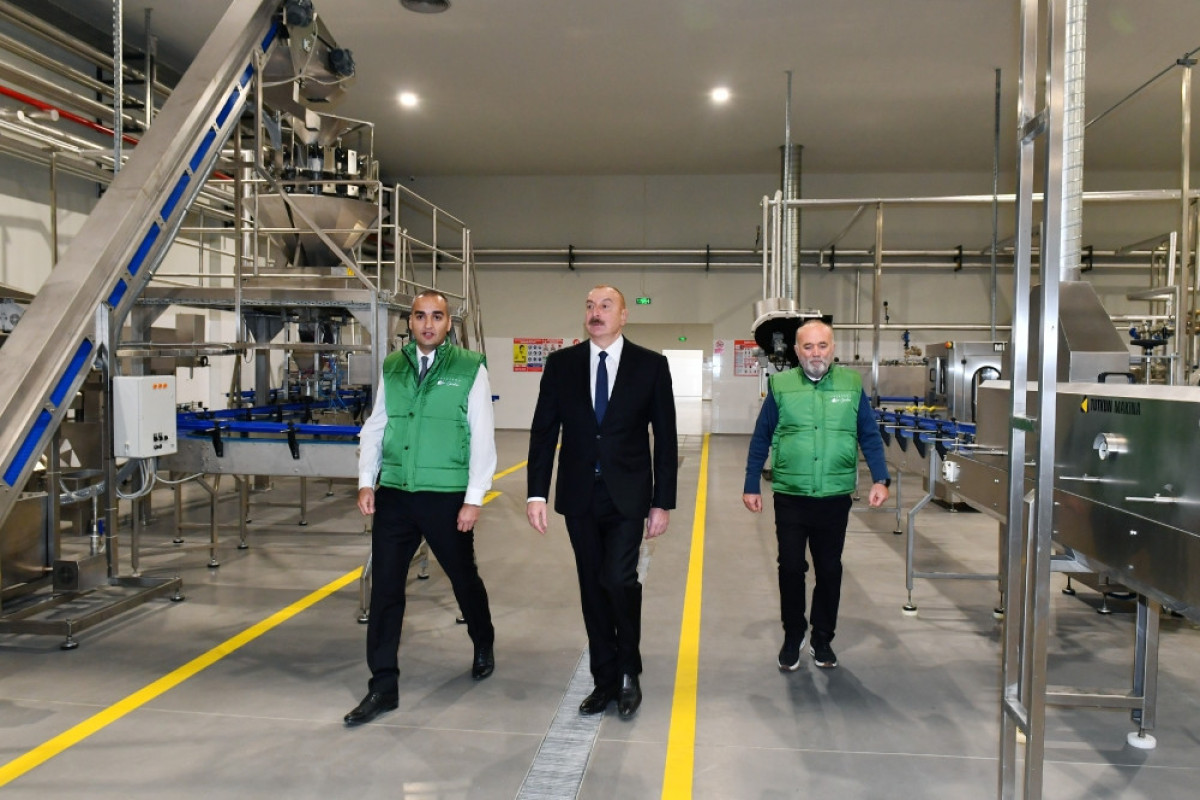 Президент Ильхам Алиев принял участие в открытии завода по производству оливкового масла в Зиря