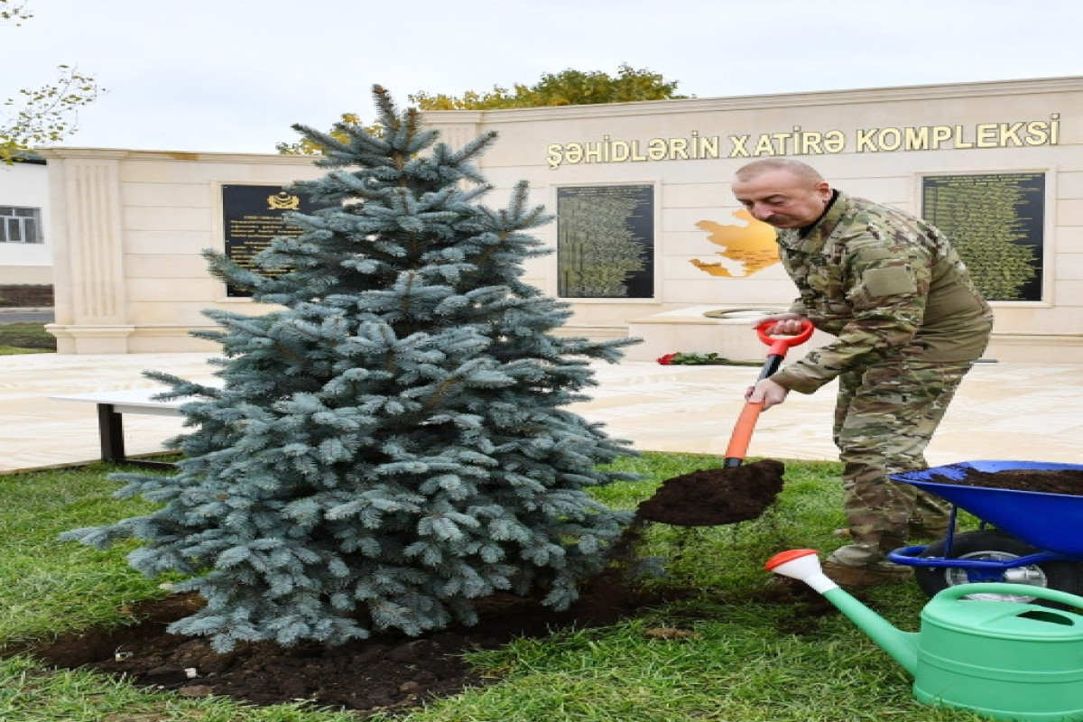 Azerbaijani President laid flowers at memorial complex in the military camp in Fuzuli, planted a tree-PHOTO 