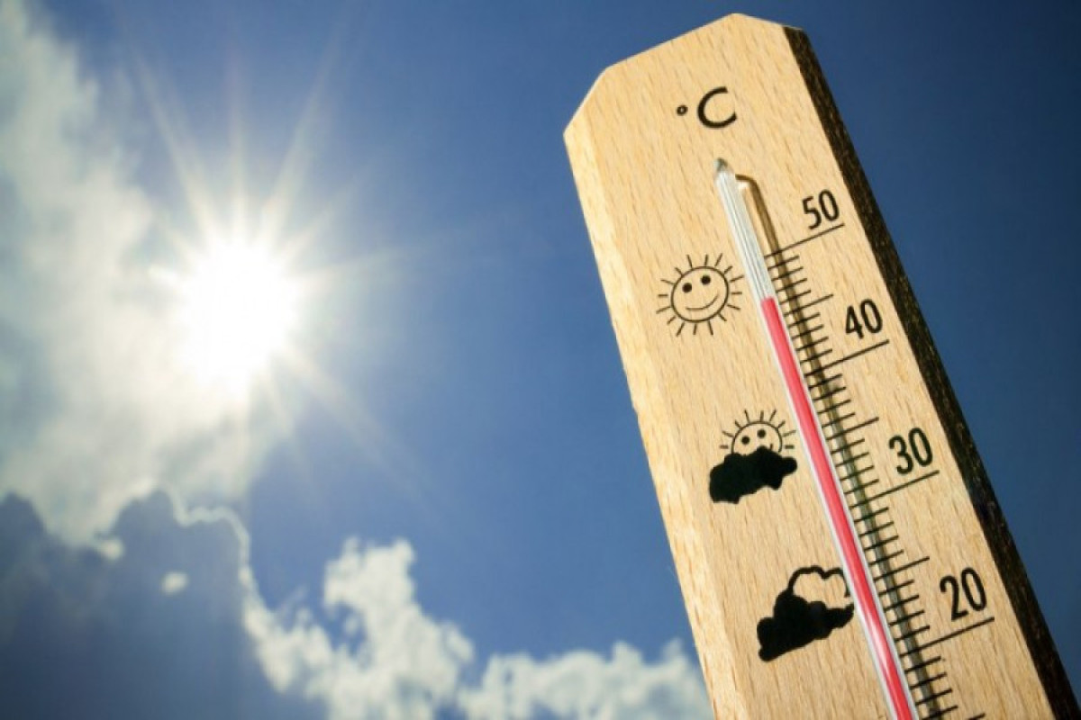 ВОЗ: Аномальная жара унесла жизни 15 тысяч европейцев в 2022 году
