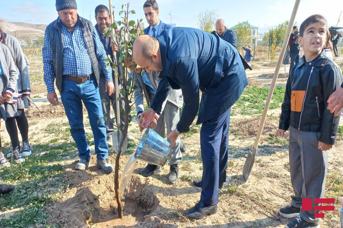 Ağalıda Zəfər Günü ilə bağlı ağacəkmə aksiyası keçirilib - FOTO 