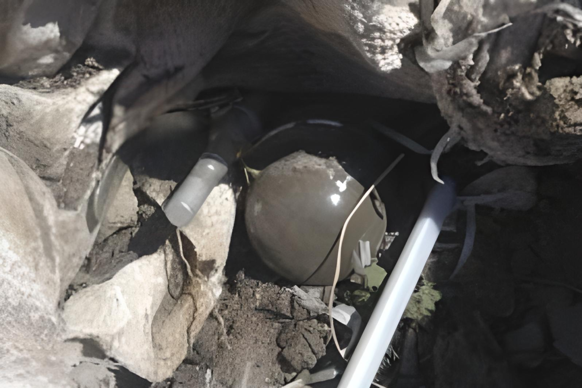 В Геранбойском районе на ферме обнаружено 2 гранаты и большое количество боеприпасов