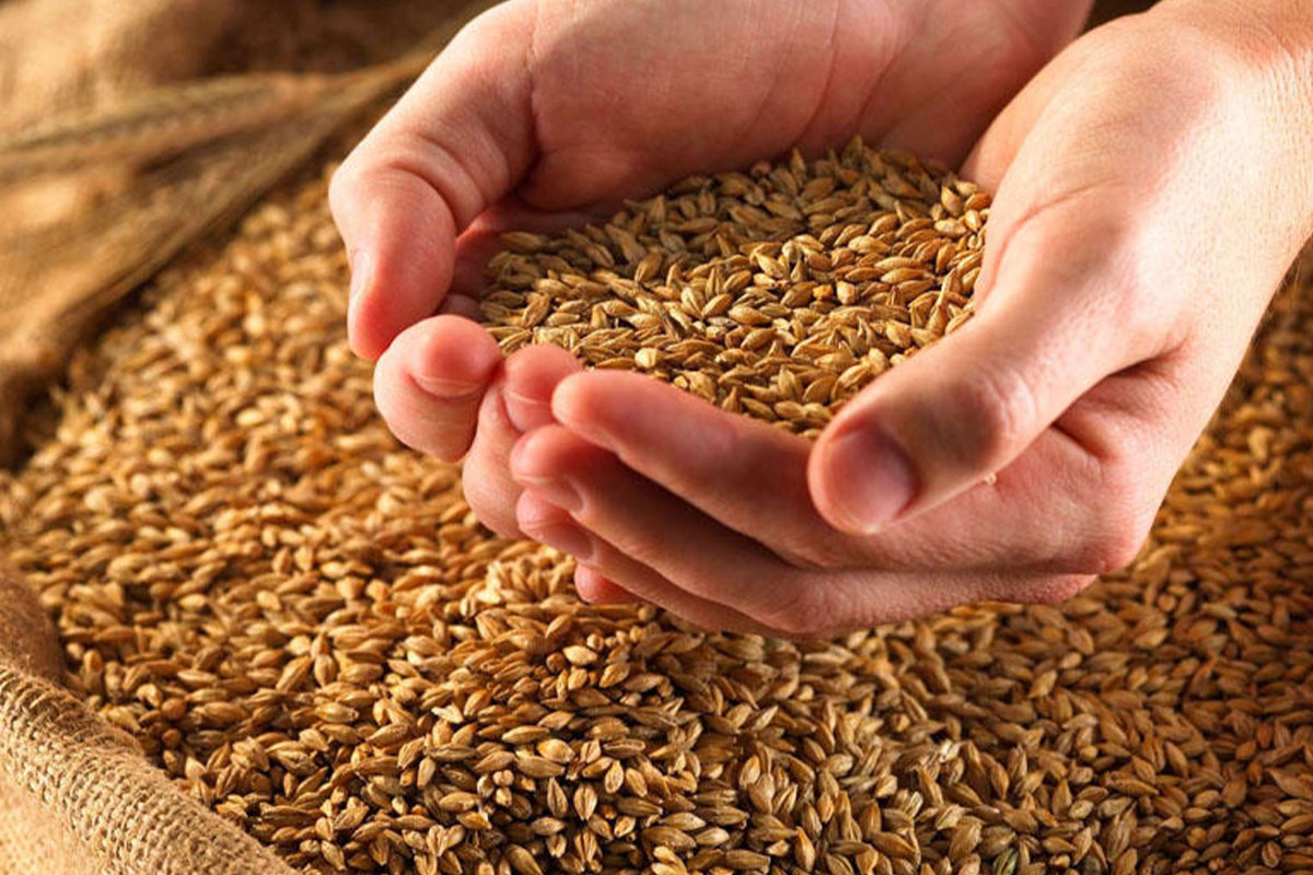Самир Шарифов: Идти против рынка зерна было бы опасно