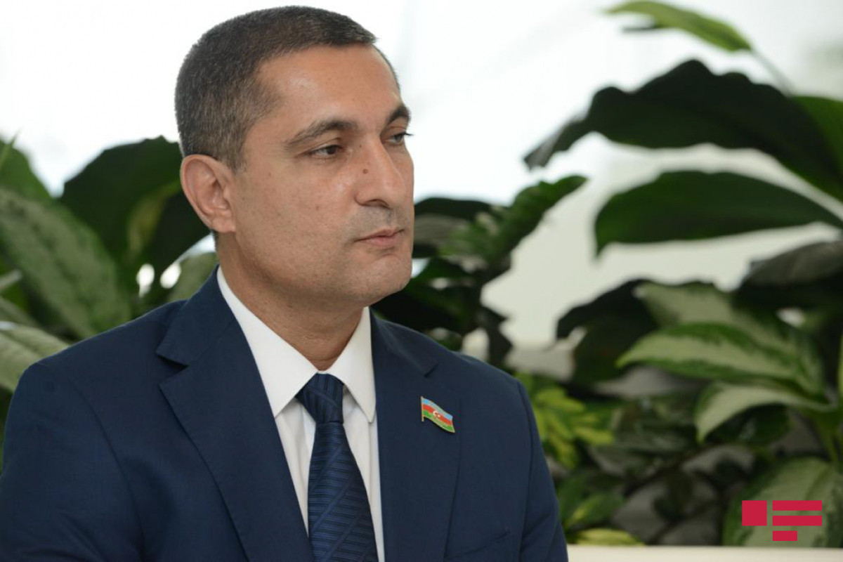 Soltan Məmmədov, lli Məclisin Azərbaycan-Fransa Parlamentlərarası əlaqələr üzrə İşçi Qrupunun rəhbəri
