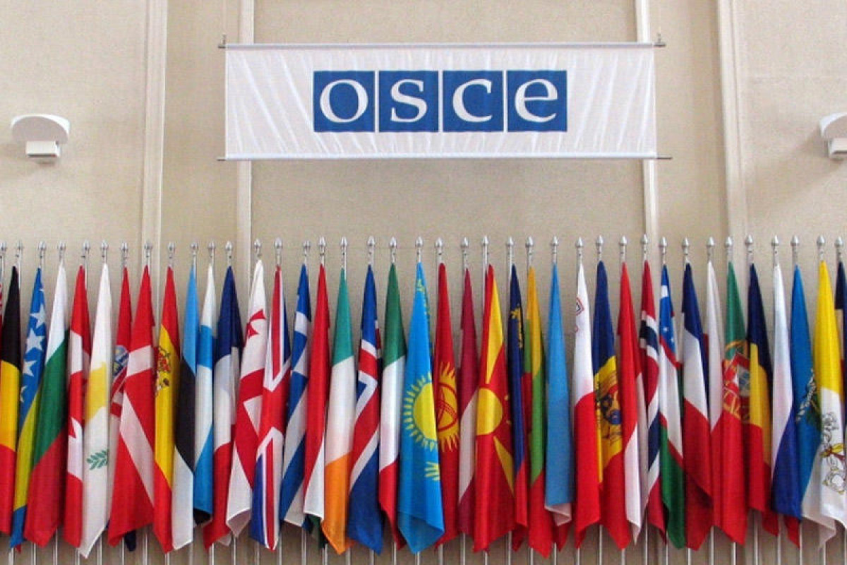 Visas for participation in OSCE PA not issued to Russian MPs