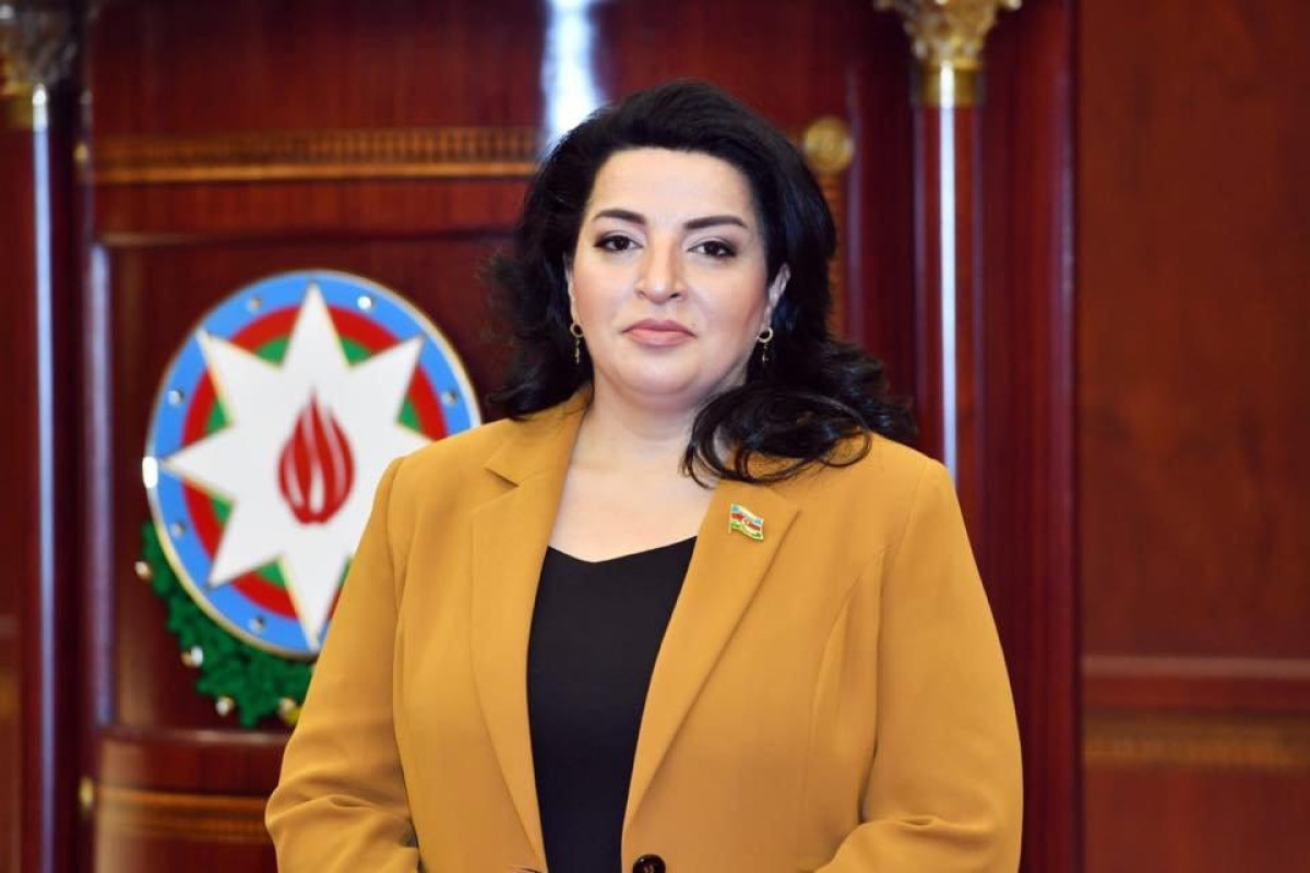 Fatma Yıldırım: “Fransa Senatının Azərbaycana qarşı qətnaməsi daxili auditoriya üçün nəzərdə tutulub”