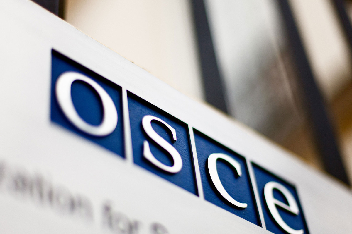 Poland will not give Russians visa to attend OSCE meeting- spokesman