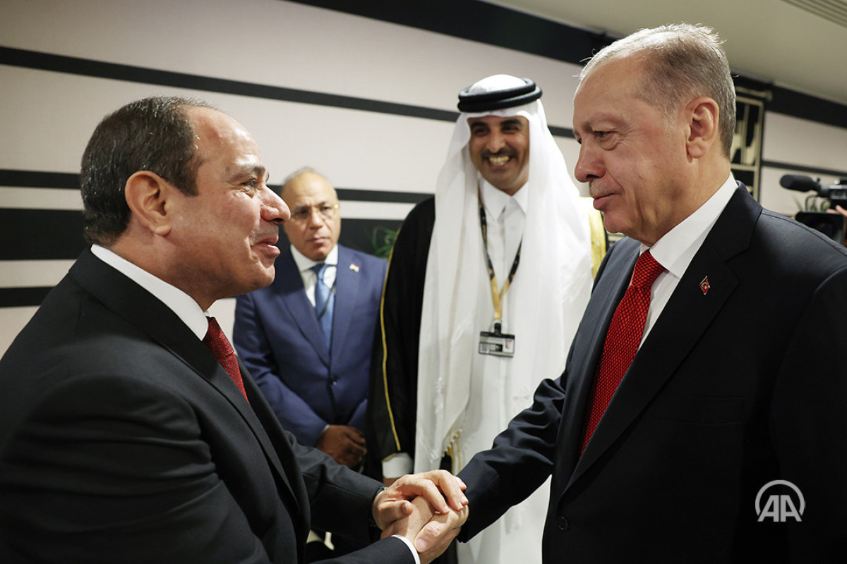 Эрдоган впервые встретился с президентом Египта-ФОТО 