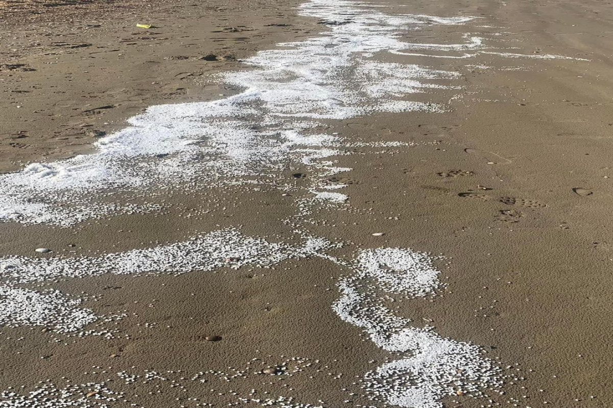 Bakıda dəniz sahilində çoxlu sayda plastik hissəcik aşkarlanıb - YENİLƏNİB 