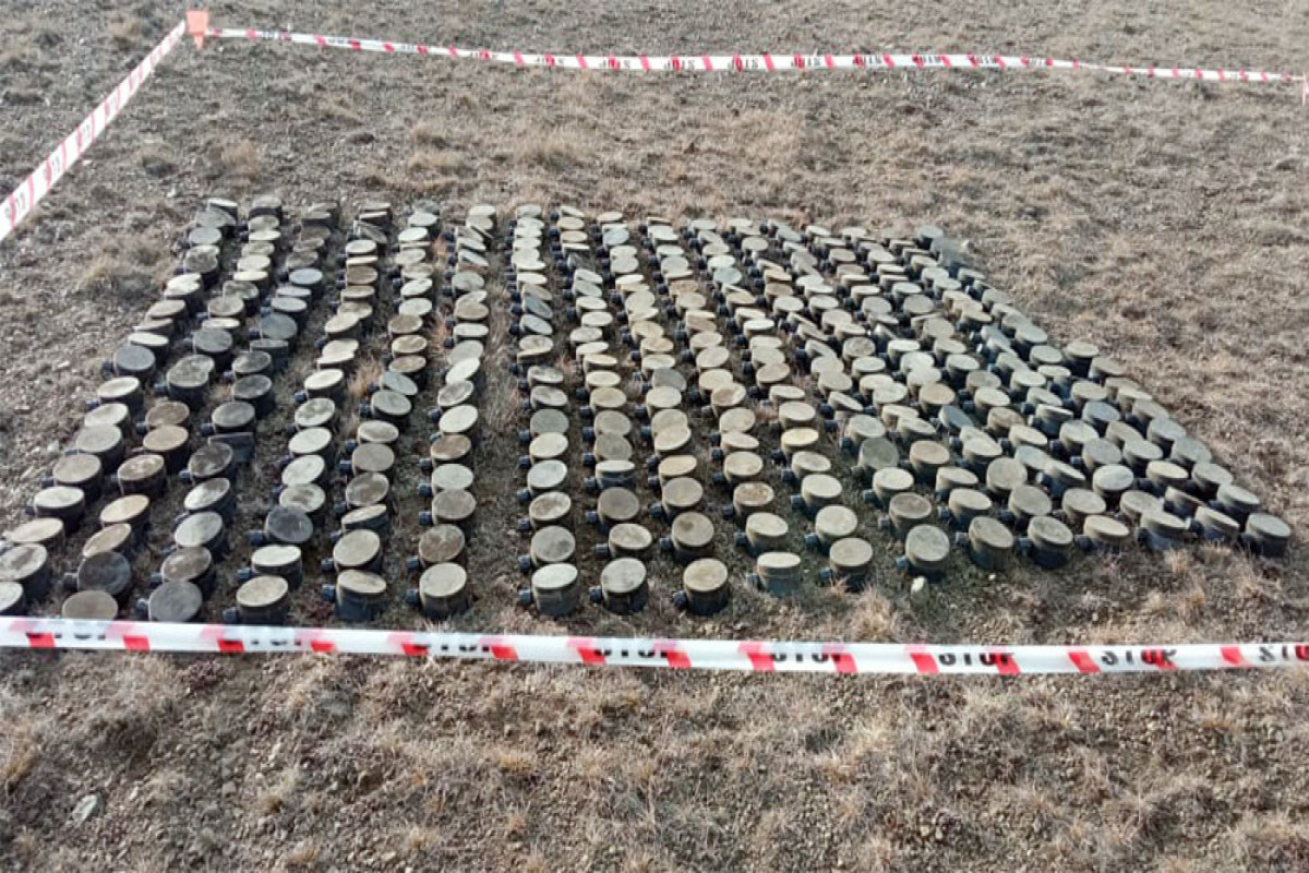Sarıbaba yüksəkliyində Ermənistanda istehsal edilmiş 350 mina zərərsizləşdirilib - FOTO  - VİDEO 