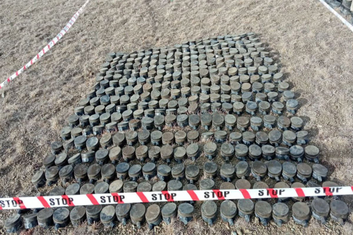 Sarıbaba yüksəkliyində Ermənistanda istehsal edilmiş 350 mina zərərsizləşdirilib - FOTO  - VİDEO 