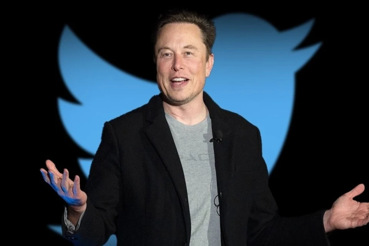 Musk: Most suspended Twitter accounts to get amnesty