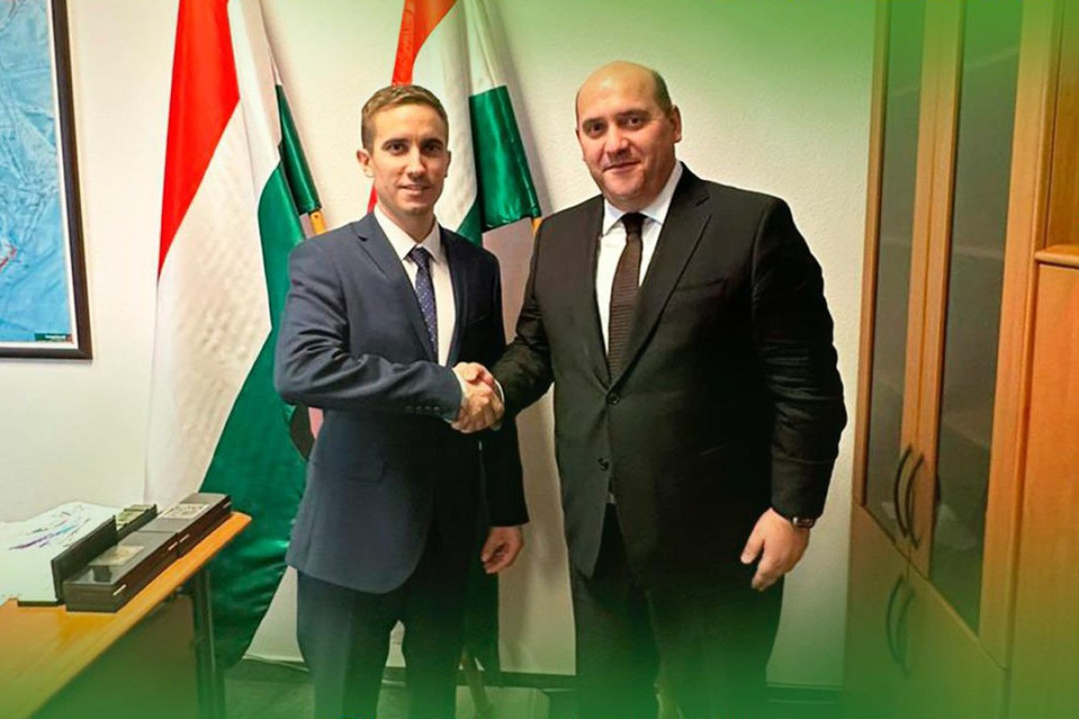 Special Representative of Azerbaijani President visits Hungary