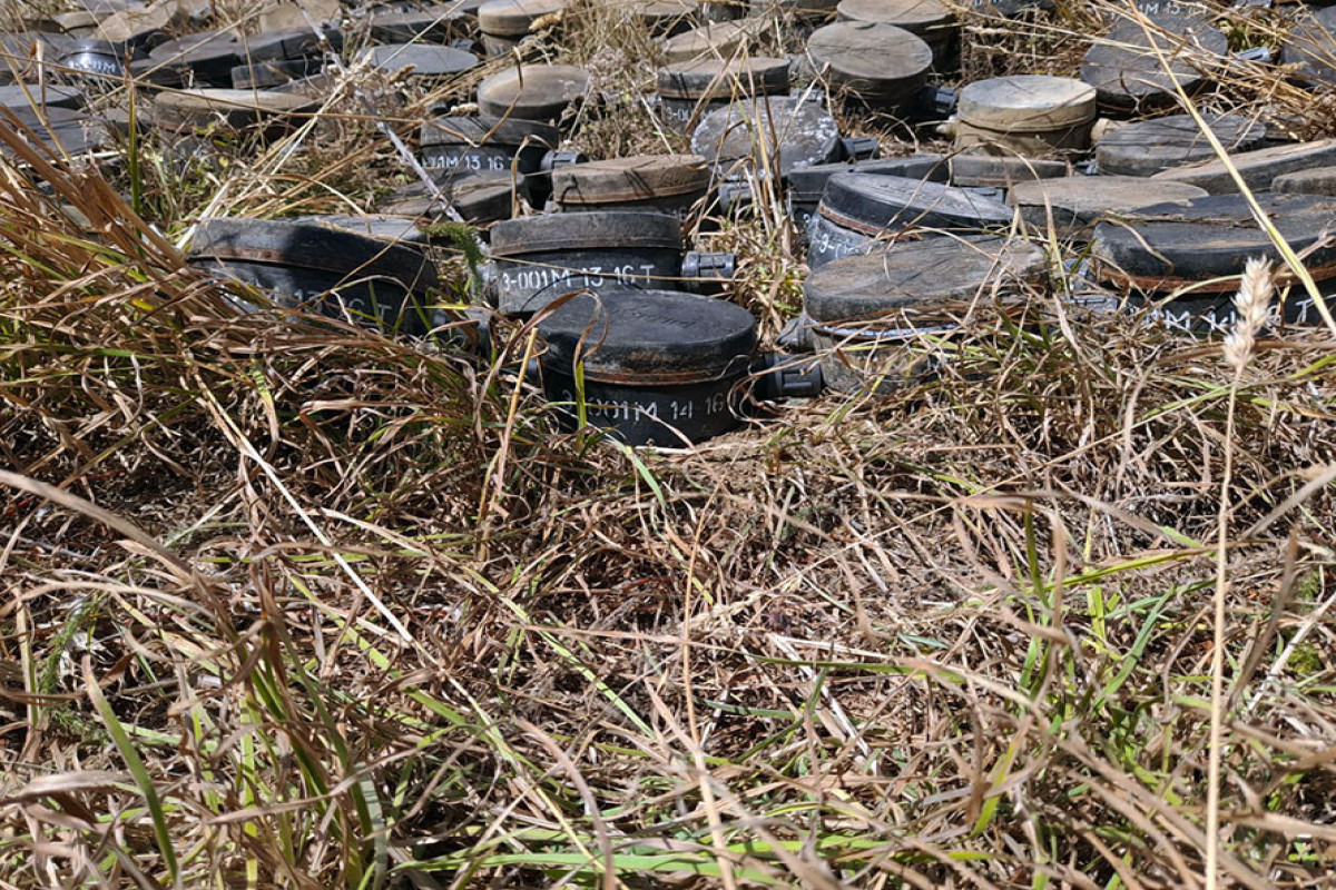 Azerbaijani MoD: 452 mines, buried by Armenian sabotage groups in Dashkasan, neutralized -PHOTO 