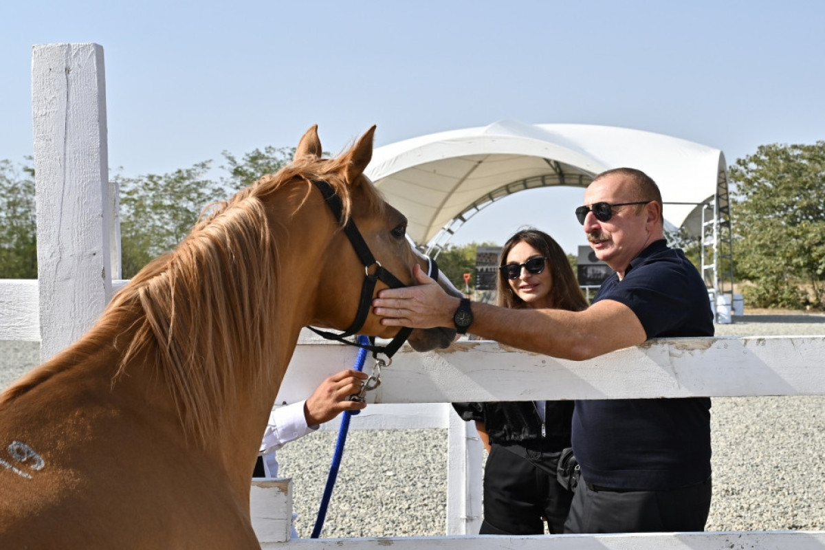 Azerbaijani President lays foundation of Horse Breeding Center in Aghdam-UPDATED 