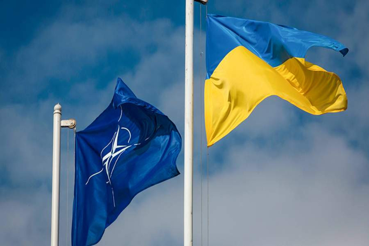 Ukraynanın NATO-ya üzvlük müraciətini 11 ölkə dəstəkləyib