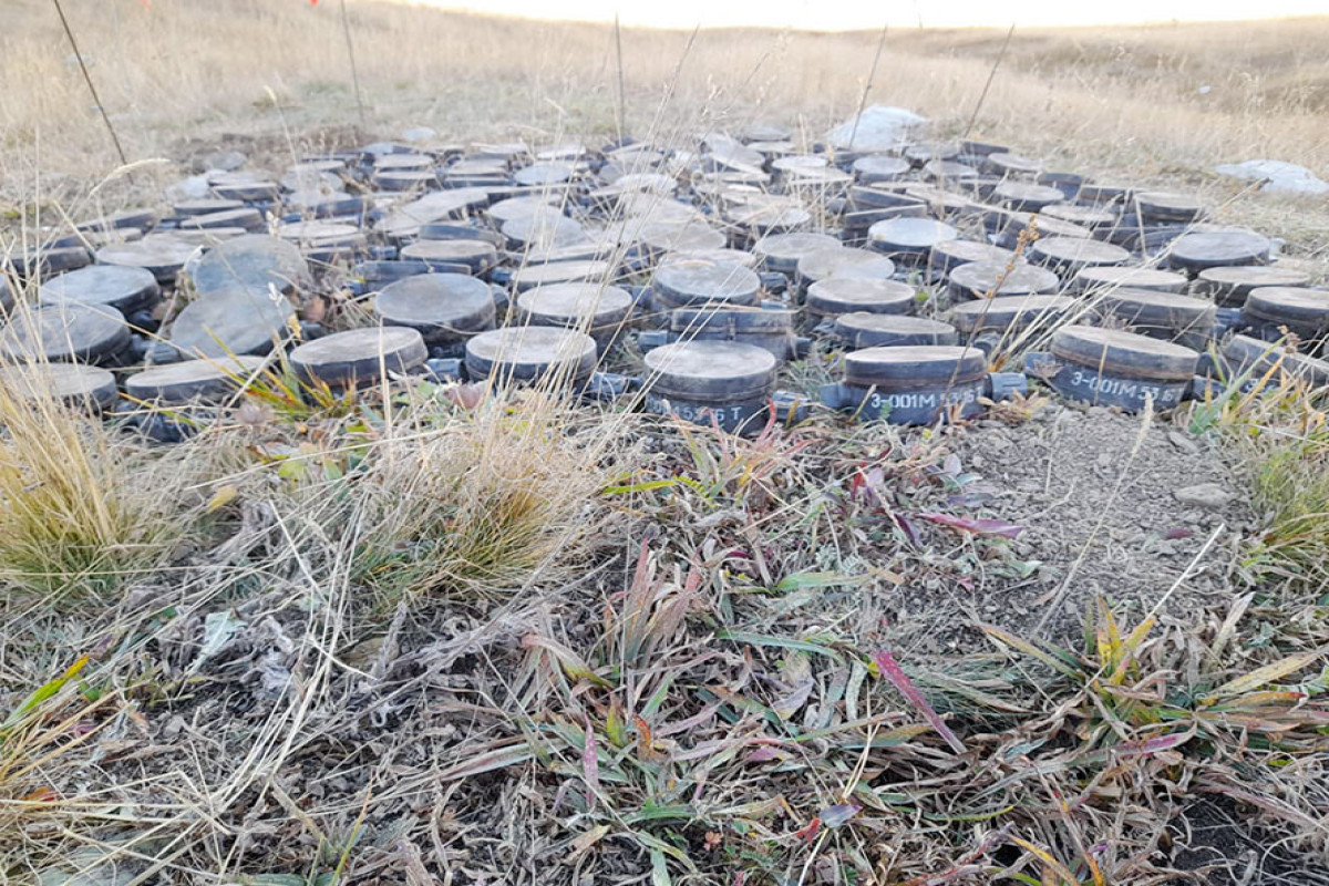 Обнаружены еще 230 мин, установленные армянской диверсионной группой в Кяльбаджаре и Дашкесане