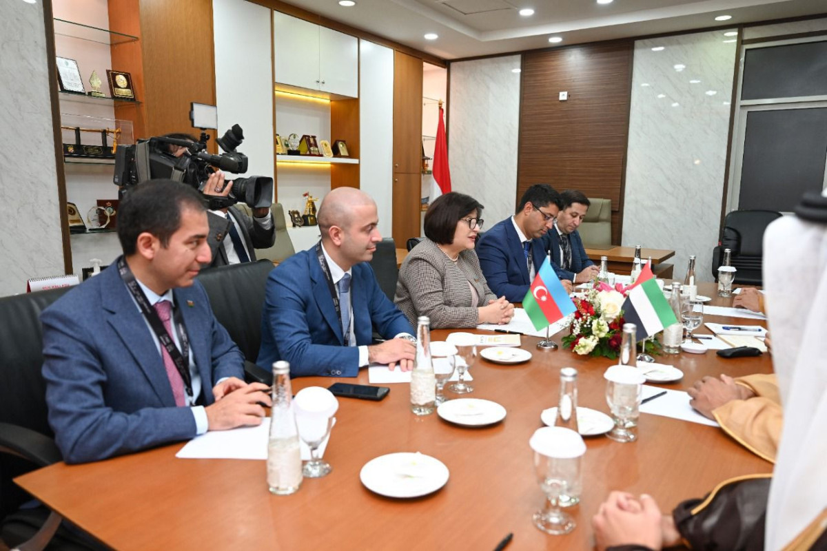 Speaker of Azerbaijani Parliament meets with Chairman of UAE Federal National Council