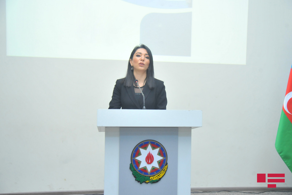 Səbinə Əliyeva, İnsan hüquqları üzrə müvəkkil (ombudsman)