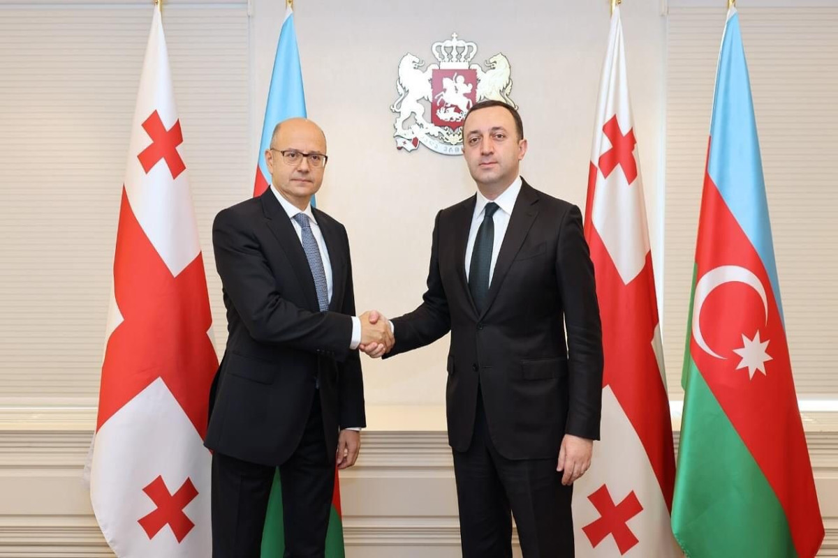 Pərviz Şahbazov Gürcüstanın Baş naziri ilə görüşüb