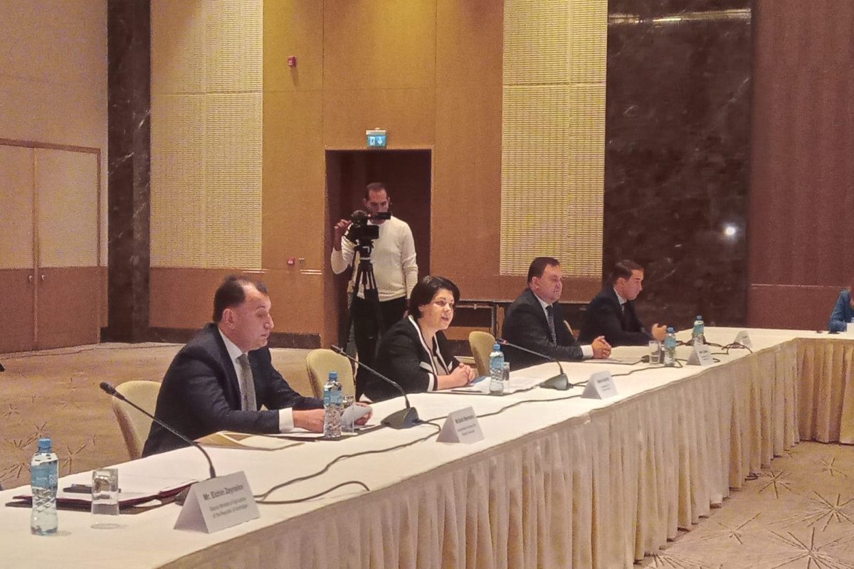 Prime Minister of Moldova Natalia Gavrilita at a meeting with representatives of the business circles of Azerbaijan