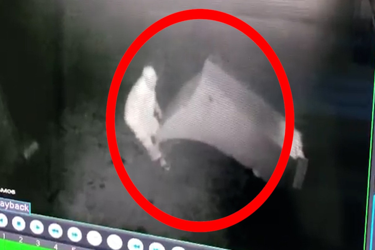 Balaxanıda içində 5 min manatdan çox pul olan ödəmə terminalı oğurlanıb - VİDEO 