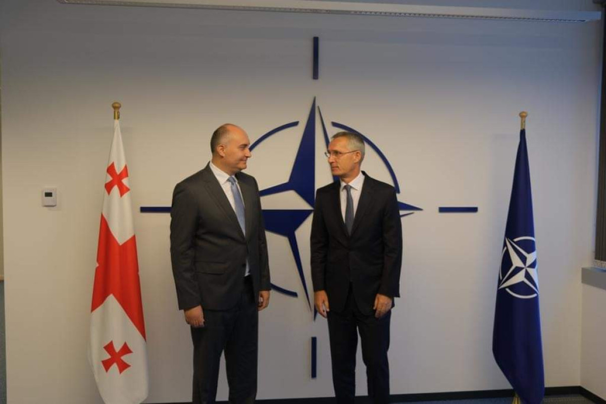 Gürcüstanın müdafiə naziri NATO Baş katibi ilə görüşüb