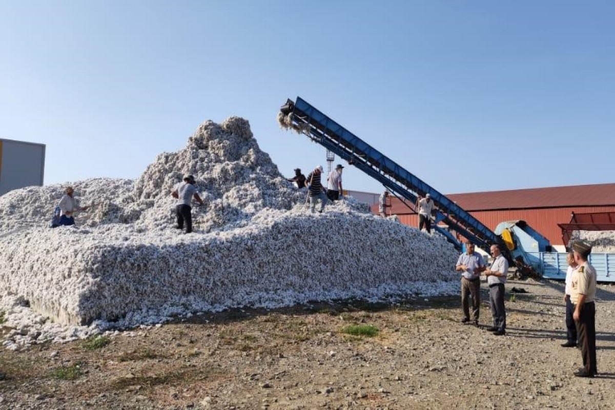 Pambıq tədarükündə yanğın təhlükəsizliyi mövzusunda tədbirlər keçirilib - FOTO 