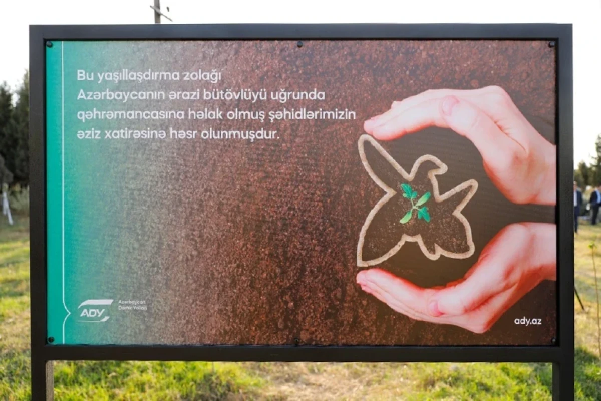“Azərbaycan Dəmir Yolları” ağacəkmə aksiyası keçirib