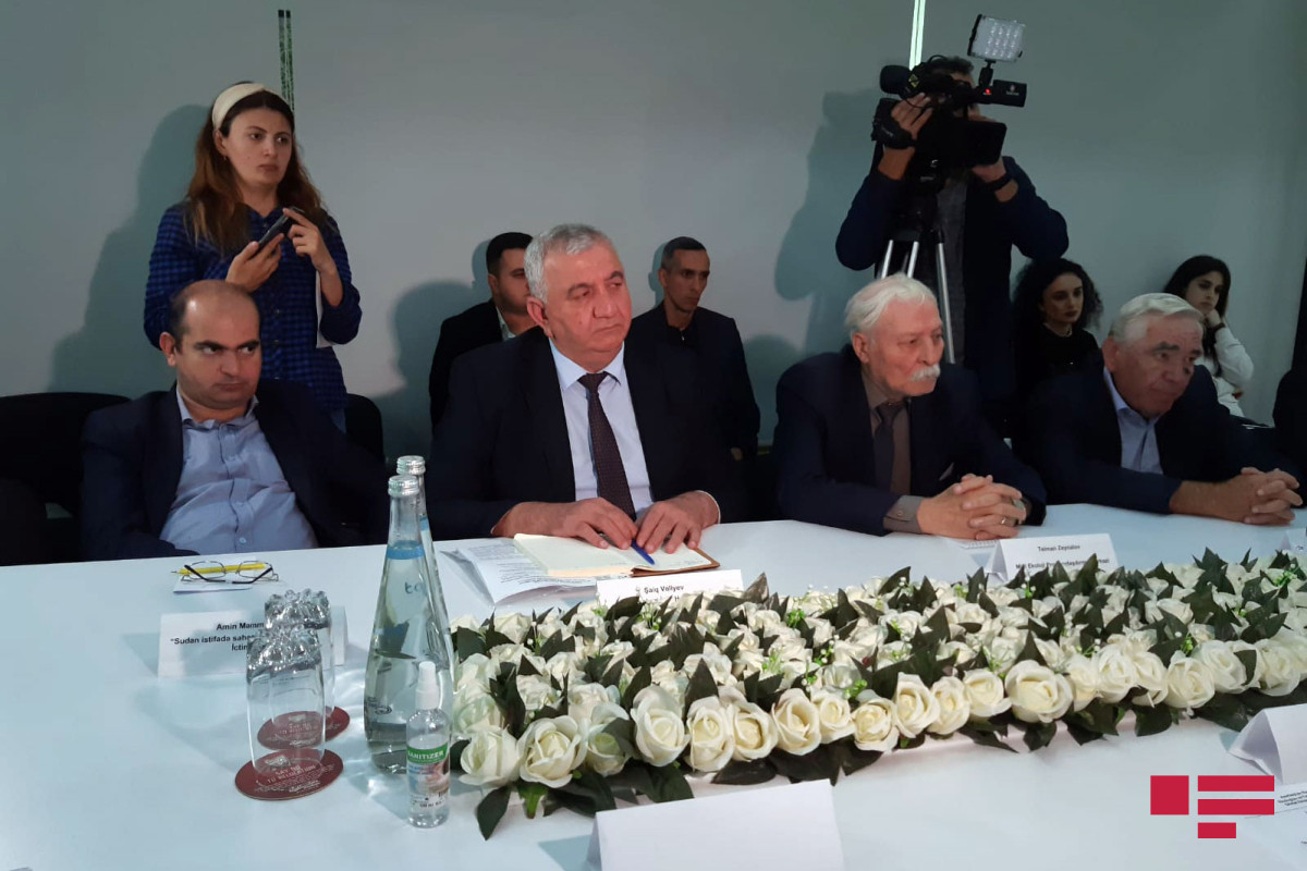 Bakıda 3000 şam ağacı utilizasiya edilib