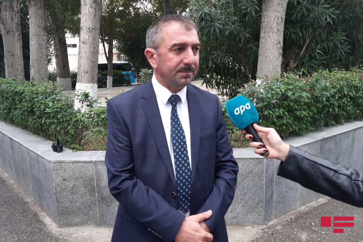 Meşələrin İnkişafı Xidməti: Azad edilmiş torpaqlarda xəritə ilə ağaclar əkilir
