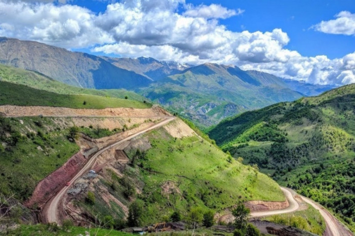 Azad edilmiş ərazilərdə nadir bitkilərin monitorinqi aparılacaq