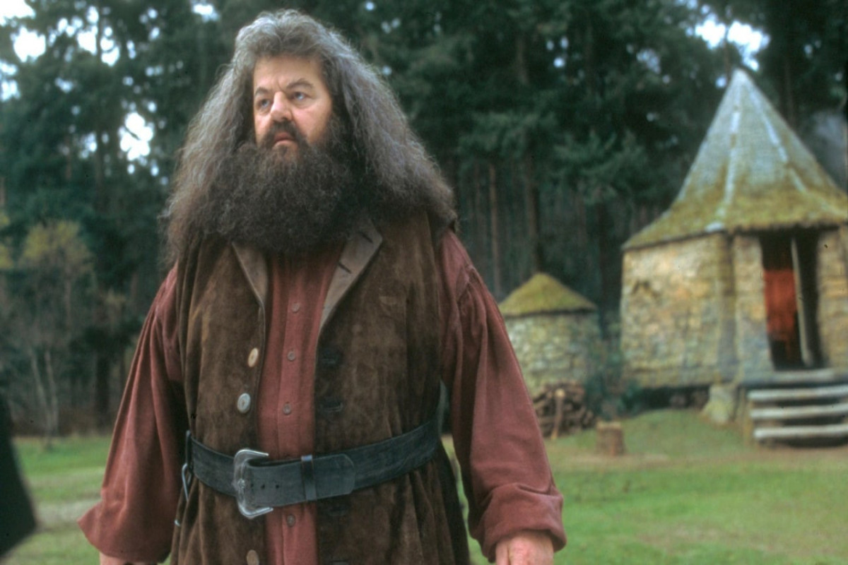 "Harri Potter"in aktyoru Robbi Koltreyn vəfat edib - VİDEO 