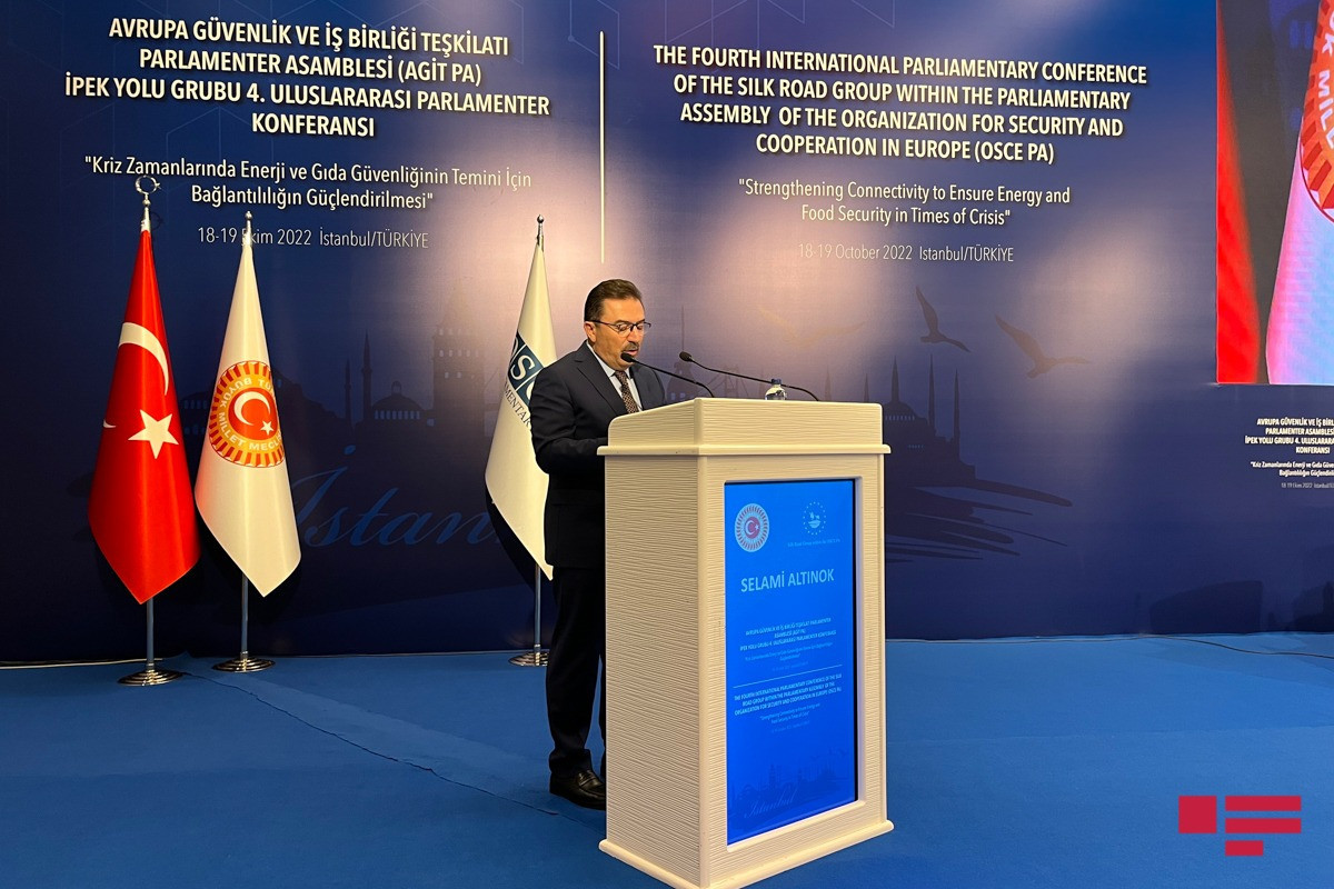 İstanbulda İpək Yoluna Dəstək Qrupunun konfransı keçirilir  - FOTO 