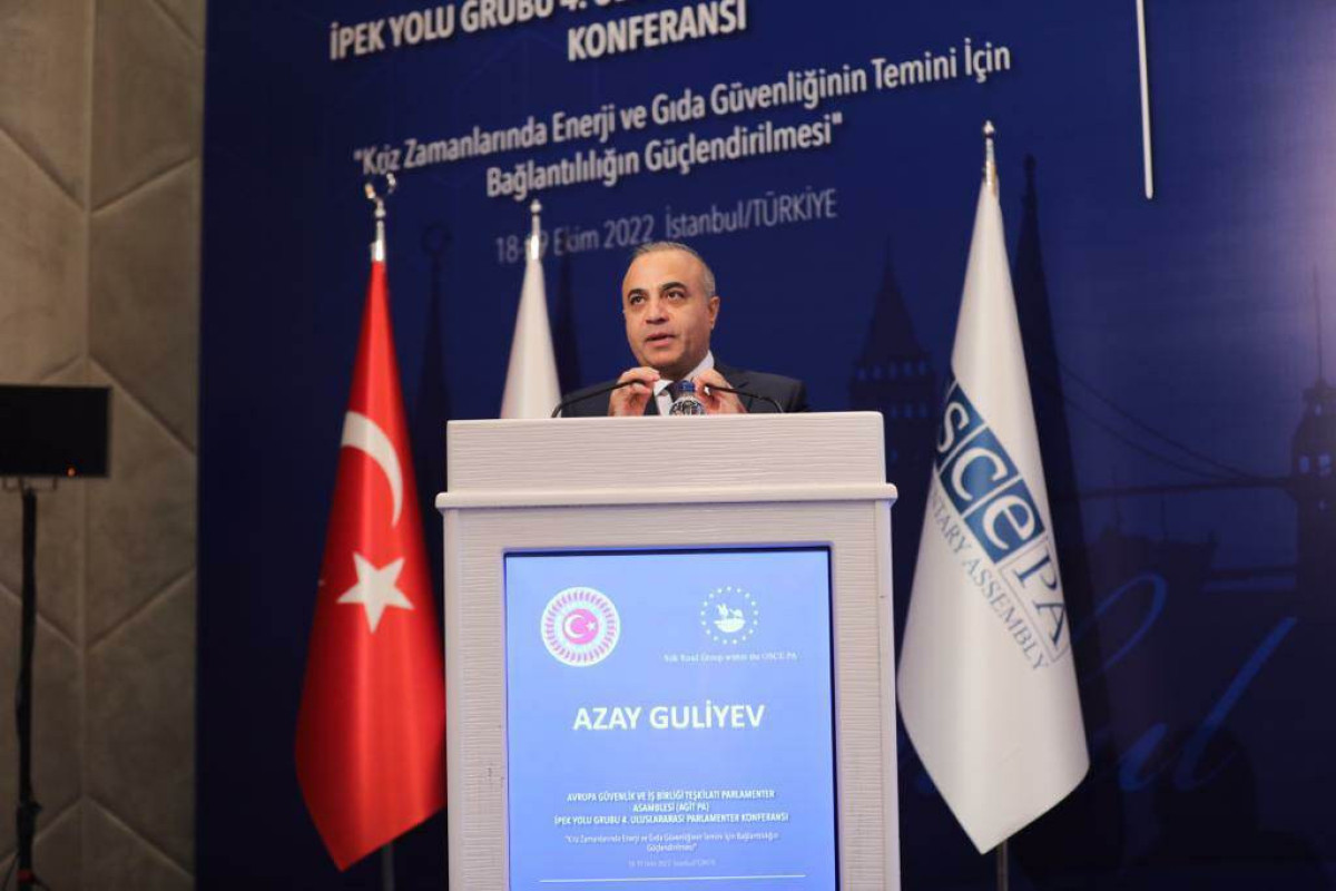 Deputat ATƏT PA-nın iclasında Zəngəzur dəhlizindən danışıb - FOTO 