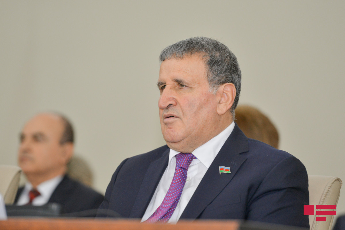 İsa Həbibbəyli, Milli Məclisin Elm və Təhsil komitəsinin üzvü