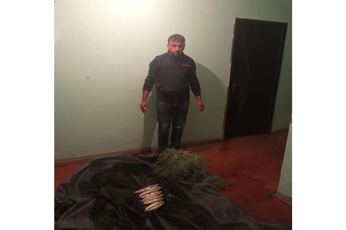Qanunsuz balıq ovlayan şəxs cəzalandırılıb