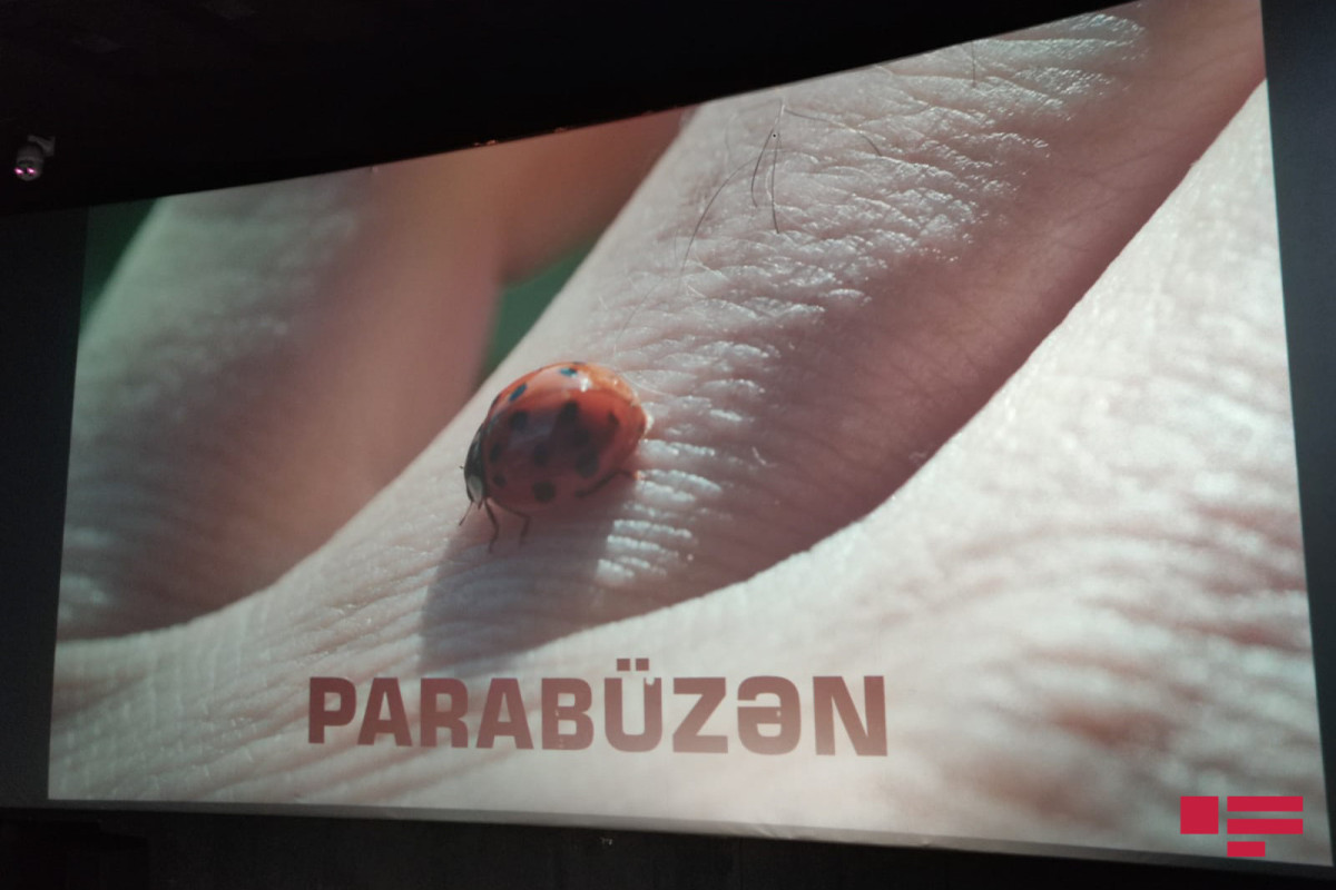 "Parabüzən" filminin təqdimat mərasimi keçirilib - FOTO 