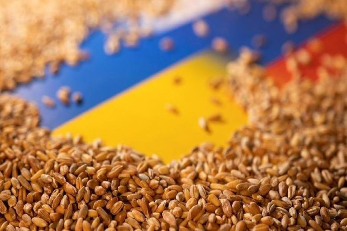В посольстве Украины в Азербайджане прокомментировали выход России из «зернового соглашения»