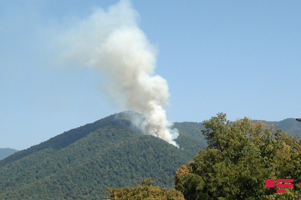 МЧС: Мероприятия по борьбе с лесными пожарами продолжаются – ВИДЕО  