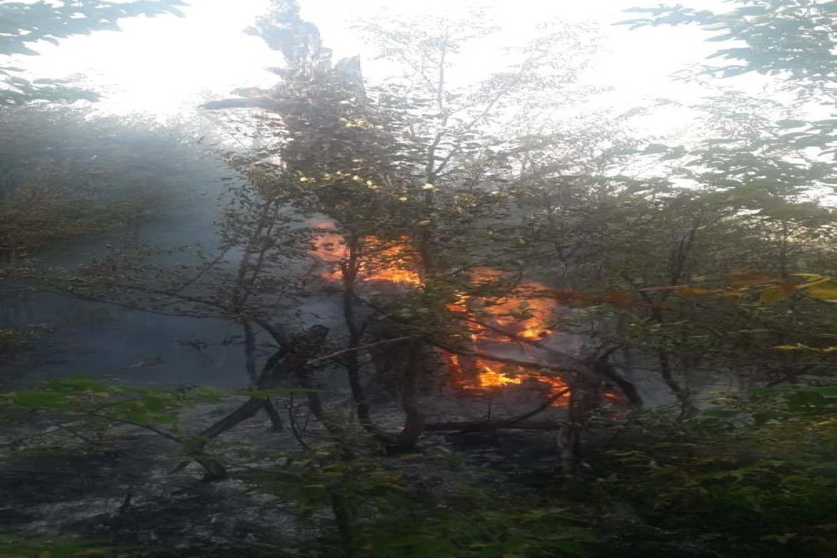 Пожар в Шабранском районе