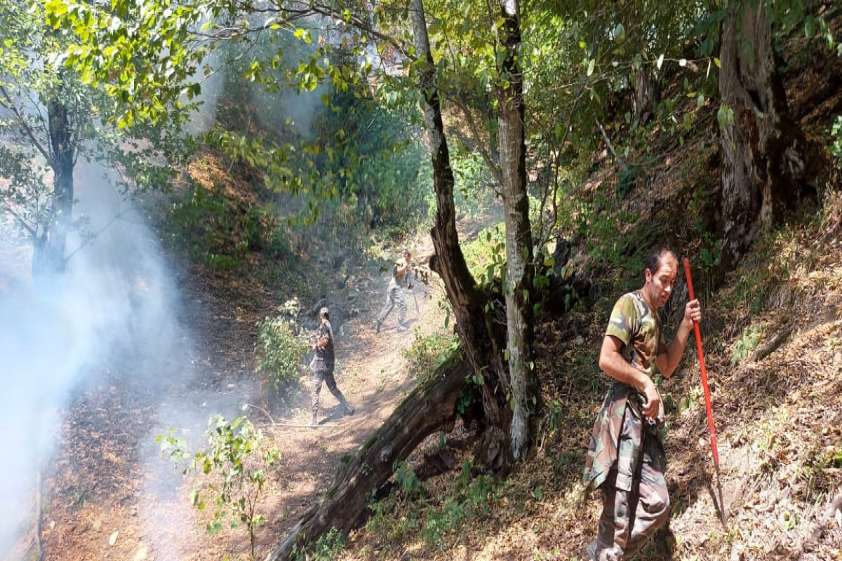 FHN: Zaqatalada meşə yanğınının yayılmasının qarşısı alınıb - FOTO  - VİDEO 