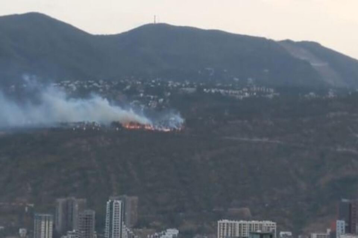 Пожар охватил окрестные села Тбилиси-ВИДЕО 