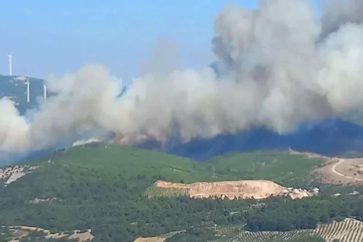 В Турции бушует лесной пожар: Задействованы 29 вертолетов, эвакуированы 450 человек
