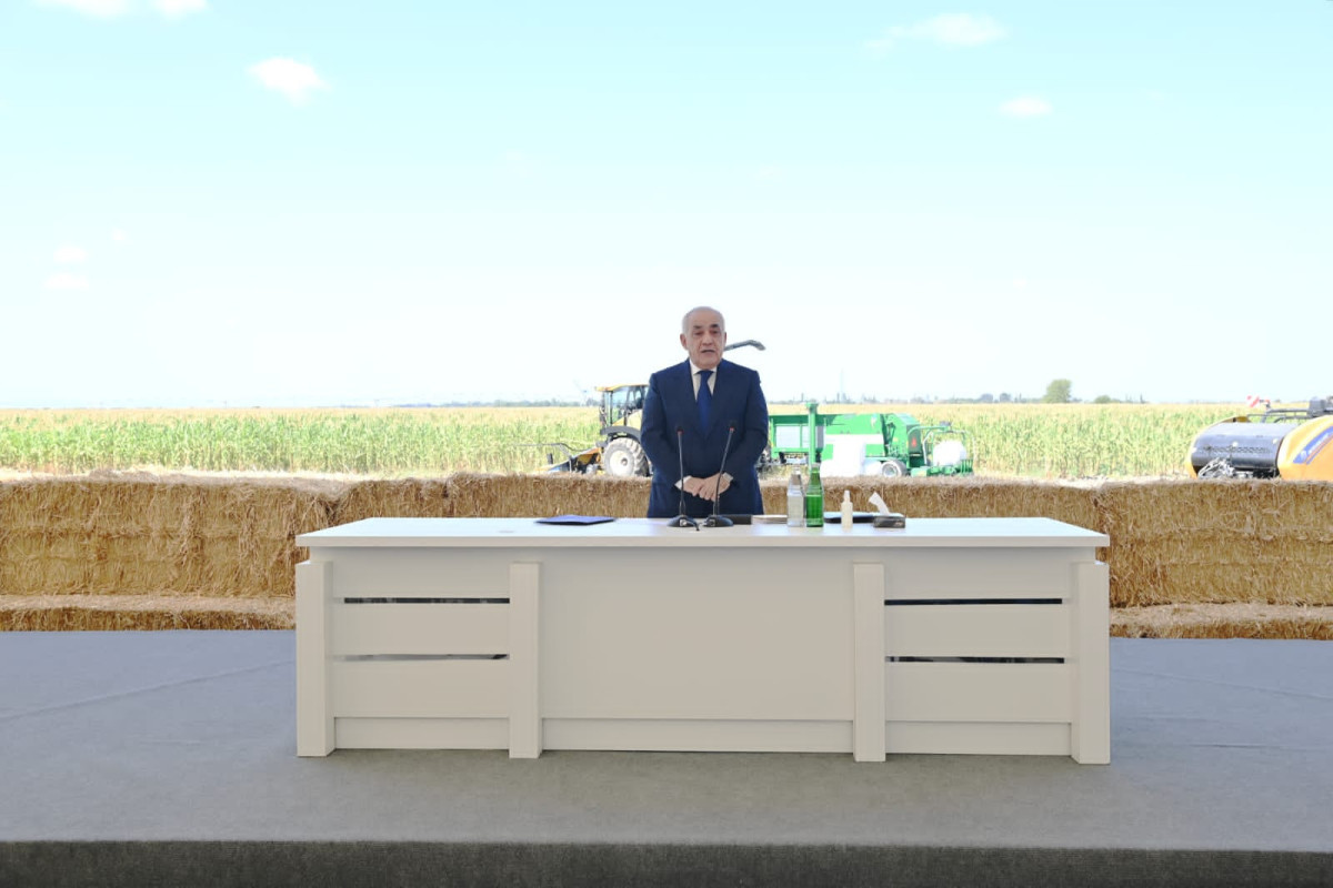 Azerbaijani PM held meeting in Aghsu on wheat production