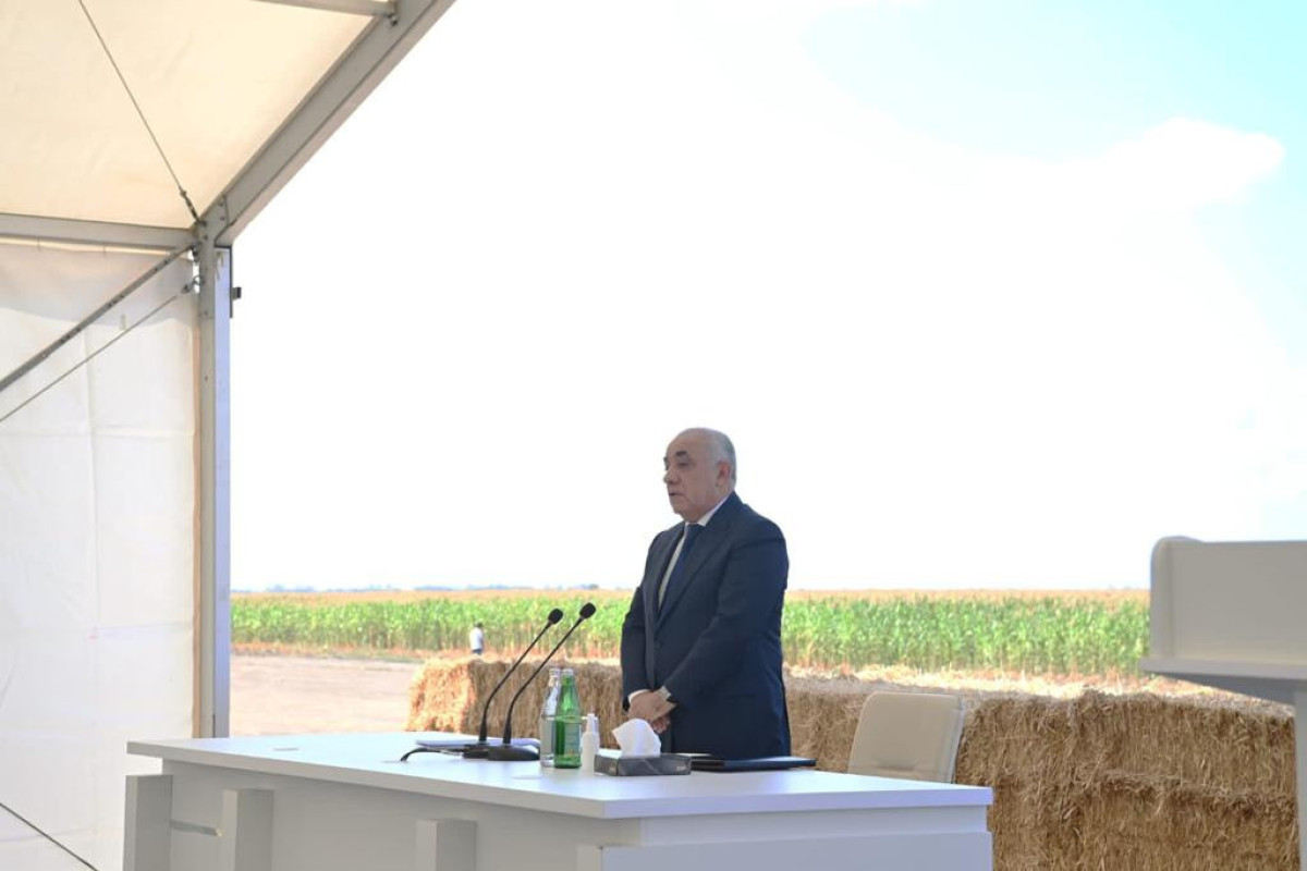 Али Асадов провел в Агсуинском районе совещание по производству пшеницы 
